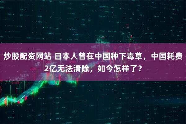 炒股配资网站 日本人曾在中国种下毒草，中国耗费2亿无法清除，如今怎样了？